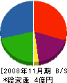 川城建設 貸借対照表 2008年11月期