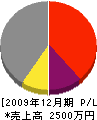 松石電機 損益計算書 2009年12月期