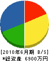 渡辺電設 貸借対照表 2010年6月期