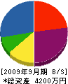 橋本工業所 貸借対照表 2009年9月期
