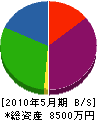 田辺工業 貸借対照表 2010年5月期