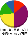 田中設備 貸借対照表 2009年6月期