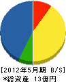 琉球開発 貸借対照表 2012年5月期