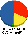 岡崎電工 貸借対照表 2009年12月期
