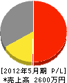 九州商事 損益計算書 2012年5月期