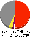 筒井鉄工所 損益計算書 2007年12月期