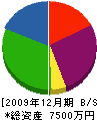 新川 貸借対照表 2009年12月期