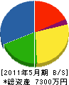 長谷川工業 貸借対照表 2011年5月期
