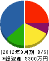 関城化学工業所 貸借対照表 2012年9月期