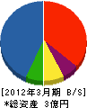 沖縄神洋ペイント 貸借対照表 2012年3月期