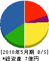 松井組 貸借対照表 2010年5月期