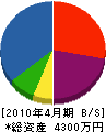 宮崎開発 貸借対照表 2010年4月期