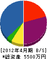 柳田土建 貸借対照表 2012年4月期