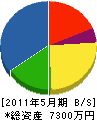 ヒダ電気 貸借対照表 2011年5月期