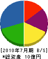辰巳住宅 貸借対照表 2010年7月期