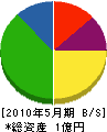 斎藤電機 貸借対照表 2010年5月期
