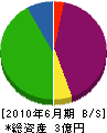 大阪環境 貸借対照表 2010年6月期