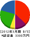 辻丸組 貸借対照表 2012年3月期