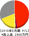 会沢造園 損益計算書 2010年6月期