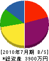 佐野緑化 貸借対照表 2010年7月期