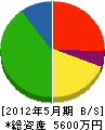 大成鉄工所 貸借対照表 2012年5月期