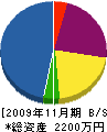 勝南工業 貸借対照表 2009年11月期