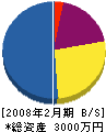 後藤電機商会 貸借対照表 2008年2月期