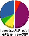 沖田塗装 貸借対照表 2009年2月期
