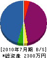 内田ポンプ商会 貸借対照表 2010年7月期