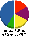 早川電気工業 貸借対照表 2009年3月期