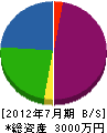 藤田管工事 貸借対照表 2012年7月期