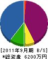 安藤雄建設 貸借対照表 2011年9月期