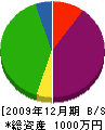 志賀塗装 貸借対照表 2009年12月期