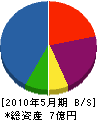 櫻井 貸借対照表 2010年5月期