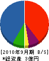 坪島総合建設 貸借対照表 2010年9月期