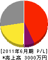 松本ガーデン 損益計算書 2011年6月期