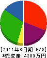 日燃商事 貸借対照表 2011年6月期
