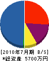 小笠原電気 貸借対照表 2010年7月期