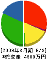 斎藤造園土木 貸借対照表 2009年3月期
