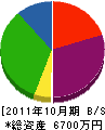 松村幸建設 貸借対照表 2011年10月期