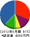 大和田鉄工 貸借対照表 2012年6月期