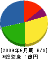 大嶋土木工業 貸借対照表 2009年6月期