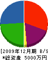 山＊工業 貸借対照表 2009年12月期