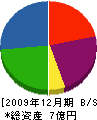 山惣ホーム 貸借対照表 2009年12月期