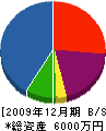 柴崎建設 貸借対照表 2009年12月期