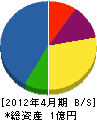 松川組 貸借対照表 2012年4月期