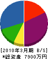 松川工芸 貸借対照表 2010年3月期