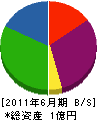 四国大川 貸借対照表 2011年6月期