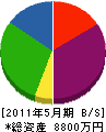 藤澤建設 貸借対照表 2011年5月期