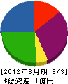 藤田電気工業 貸借対照表 2012年6月期